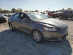 FORD FUSION SE photo