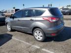 Lot #3023723886 2014 FORD ESCAPE S