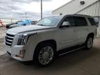 CADILLAC ESCALADE P снимка