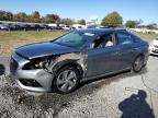 2017 HYUNDAI SONATA HYB - KMHE34L14HA059658