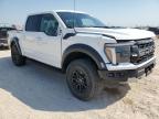 FORD F150 RAPTO photo