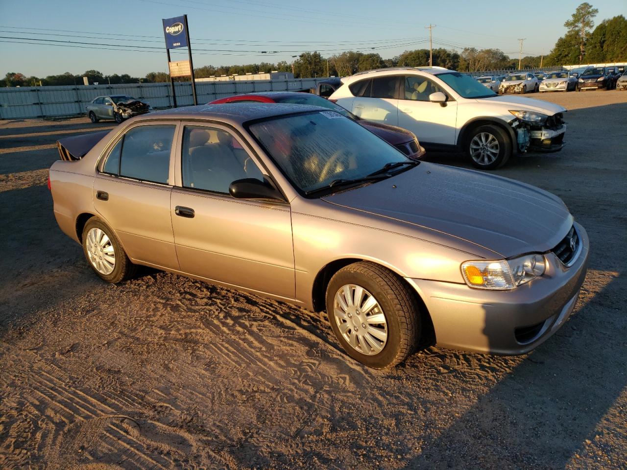 Lot #2926375014 2002 TOYOTA COROLLA CE