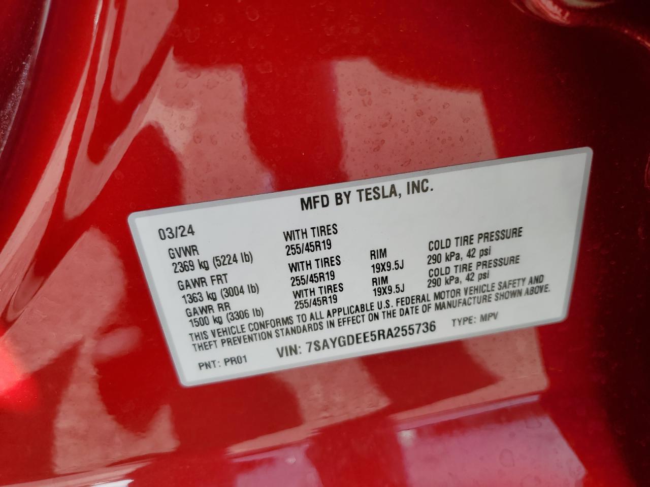 Lot #2919458414 2024 TESLA MODEL Y