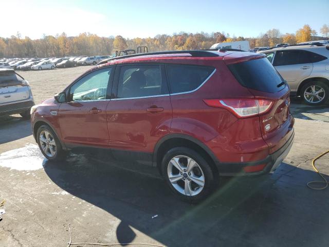 VIN 1FMCU0GX9EUA10199 2014 Ford Escape, SE no.2