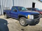 Lot #3023460279 2013 CHEVROLET SILVERADO