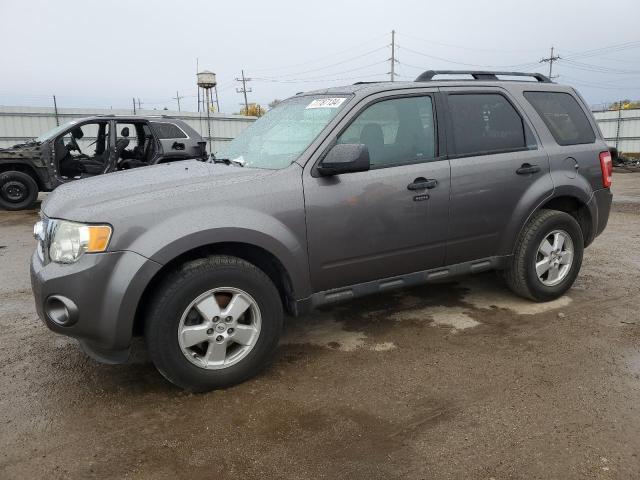 Vin: 1fmcu0dg3bkb92252, lot: 57310785, ford escape xlt 2011 img_1