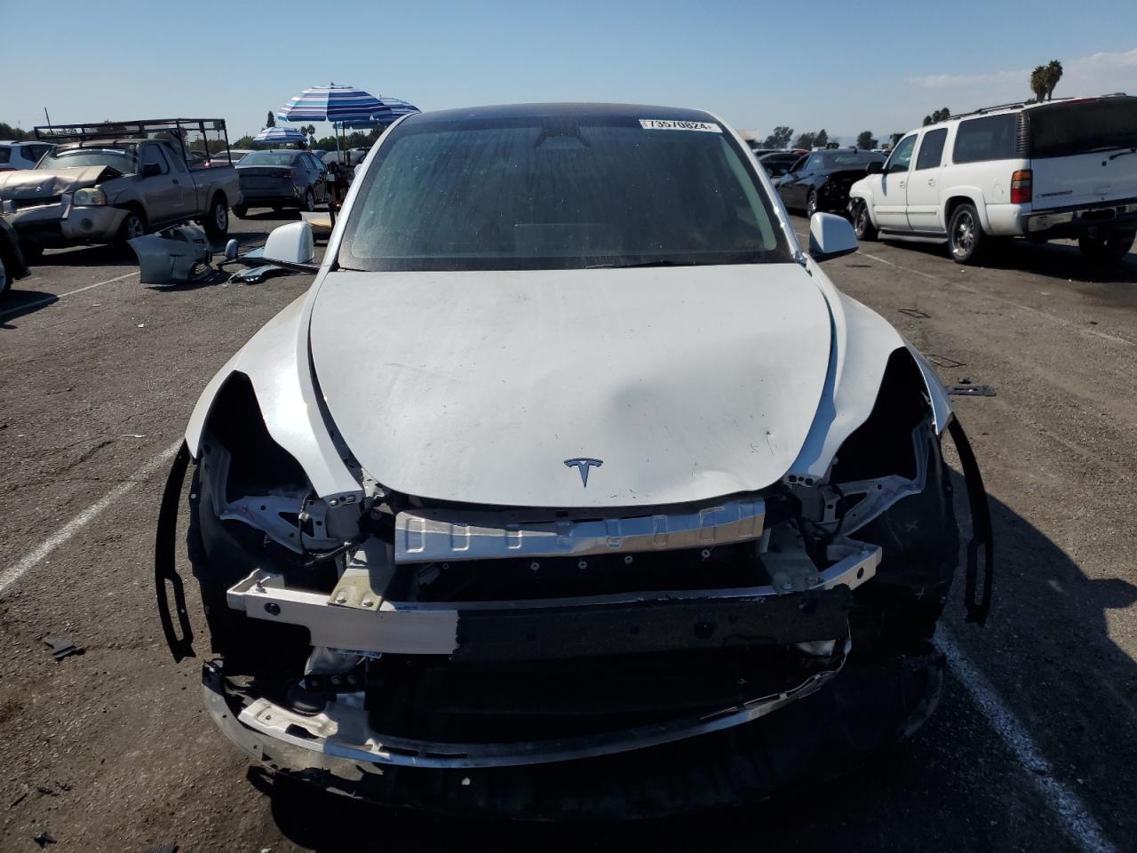 Lot #3030426502 2023 TESLA MODEL Y