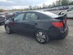 KIA FORTE EX photo