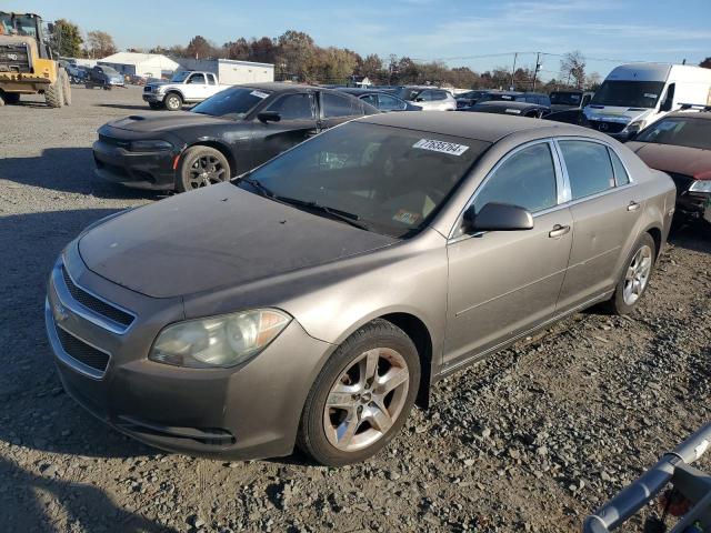 2010 CHEVROLET MALIBU 1LT 2010