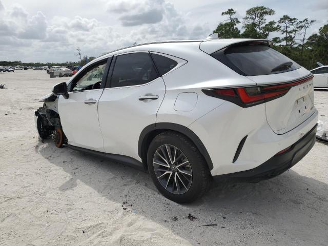 2024 LEXUS NX 250 PRE 2T2GDCAZ2RC006253