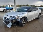 2017 NISSAN MAXIMA 3.5 - 1N4AA6AP9HC443487