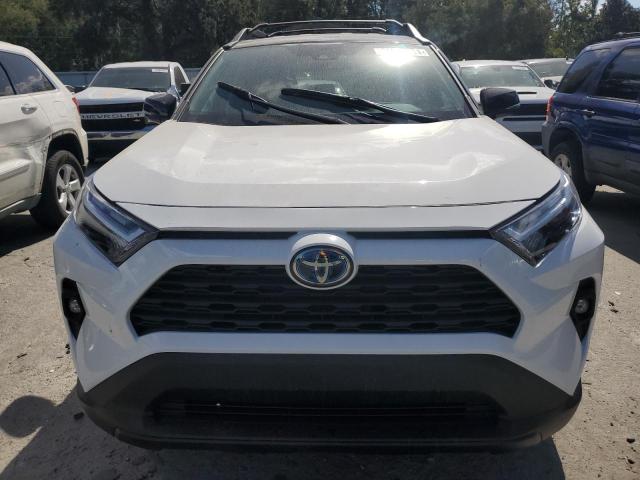2024 TOYOTA RAV4 WOODL 2T3UWRFV6RW236393