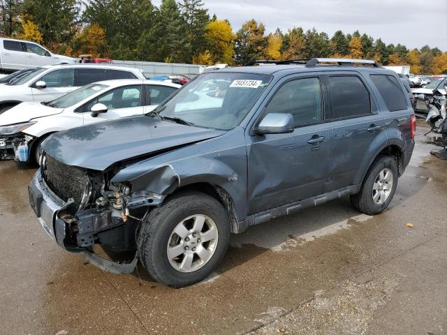 2010 FORD ESCAPE LIMITED 2010