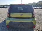 KIA SOUL photo