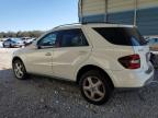 MERCEDES-BENZ ML 350 photo