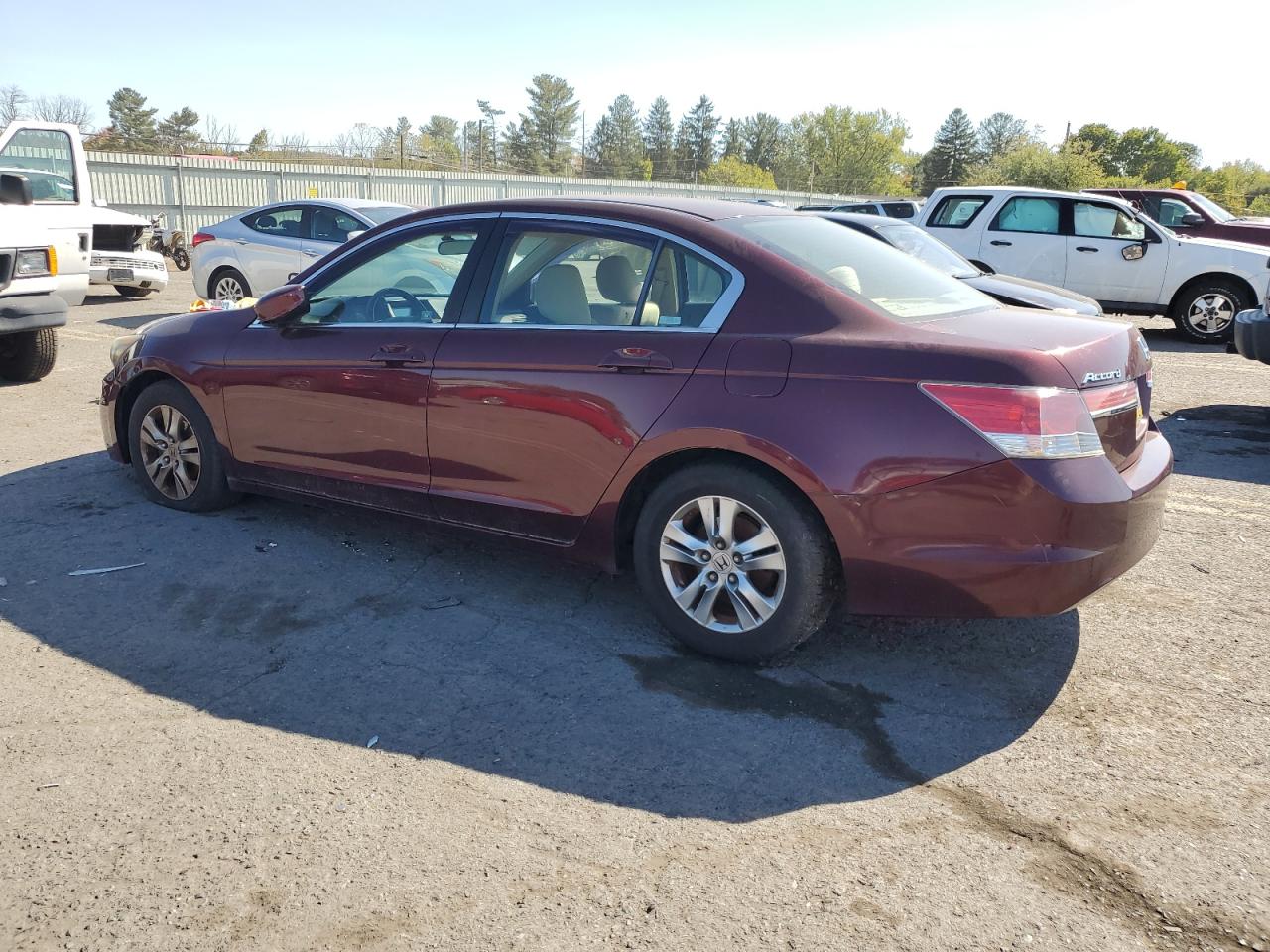 Lot #3024365572 2011 HONDA ACCORD LXP