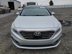 HYUNDAI SONATA SPO photo