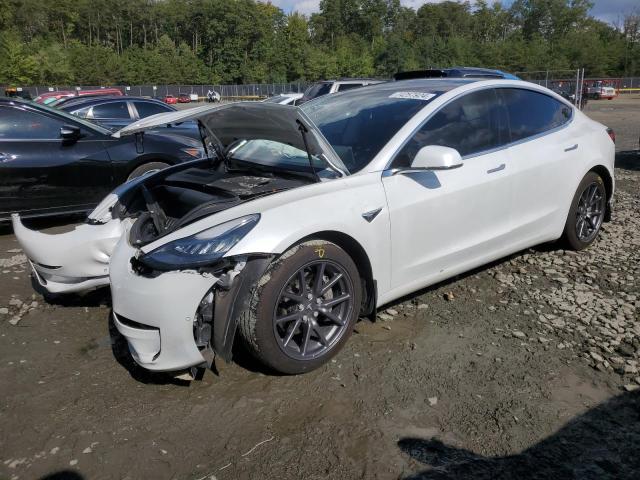 2020 TESLA MODEL 3 #3023915264