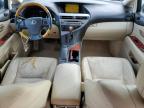 LEXUS RX 350 photo