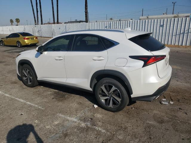 2020 LEXUS NX 300 JTJDARBZ2L5005381