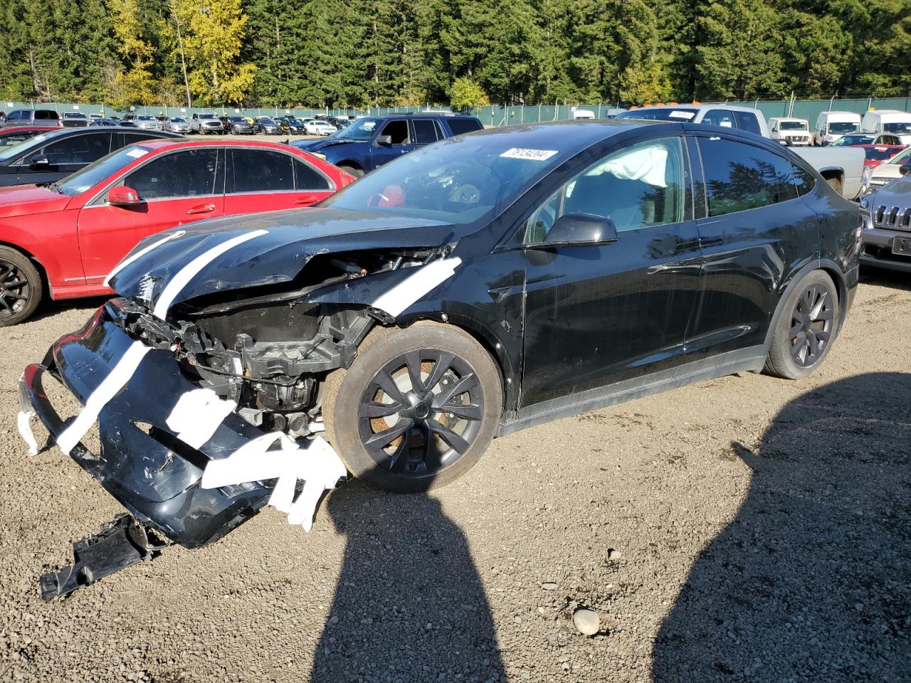 Lot #2993924309 2024 TESLA MODEL X