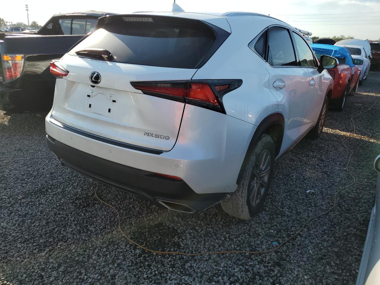 Lot #2989157810 2020 LEXUS NX 300