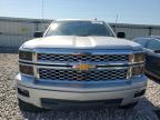 Lot #3023238145 2014 CHEVROLET SILVERADO