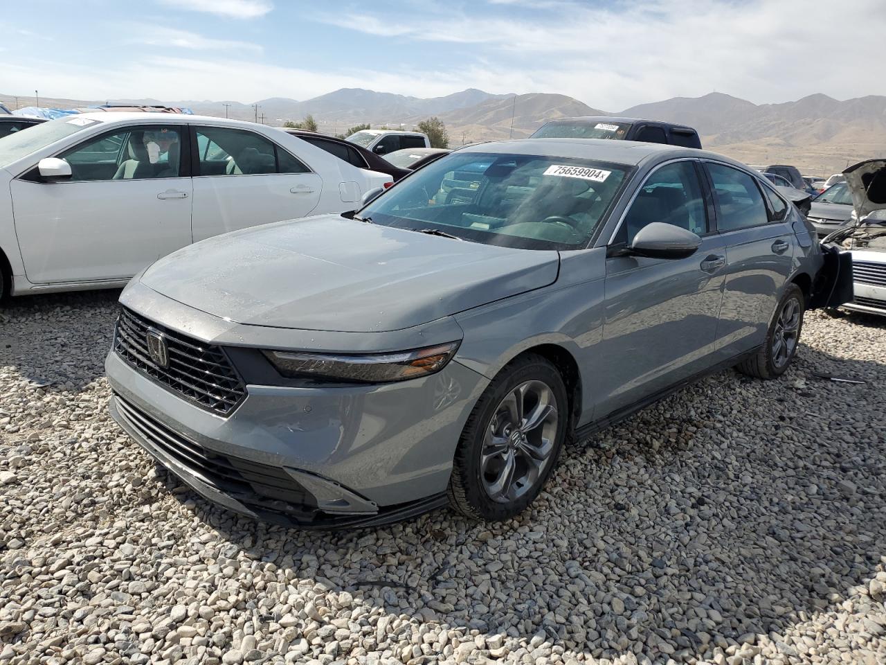 Lot #2974853021 2024 HONDA ACCORD HYB