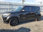 KIA SOUL + photo