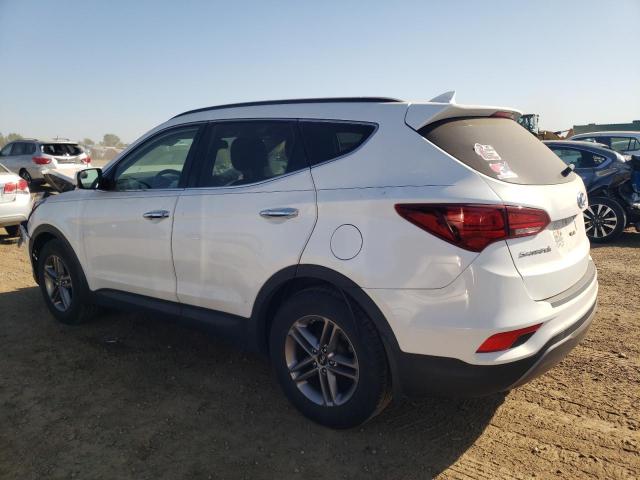 2017 HYUNDAI SANTA FE S - 5XYZUDLB2HG423622