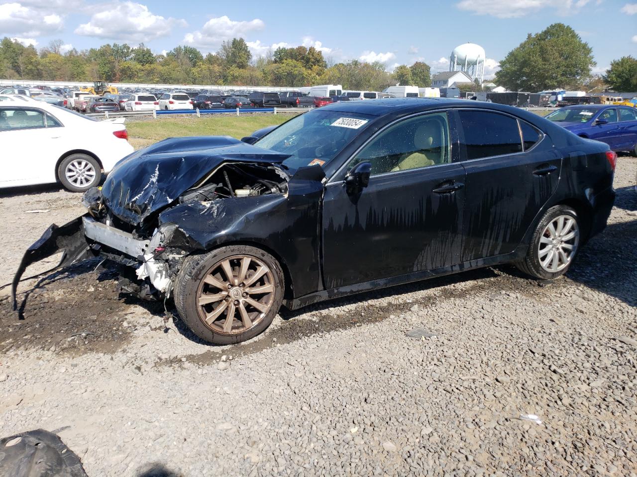 Lot #2977001579 2008 LEXUS IS 250