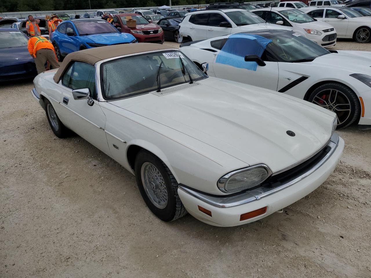 Lot #3046975104 1994 JAGUAR XJS 2+2