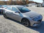 HYUNDAI ELANTRA SE photo