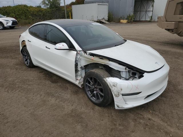 2021 TESLA MODEL 3 - 5YJ3E1EA7MF031002