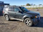 FORD ESCAPE XLT photo