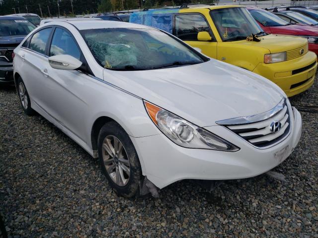 VIN 5NPEB4AC5EH875407 2014 Hyundai Sonata, Gls no.4