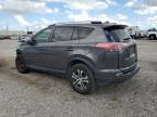 TOYOTA RAV4 LE photo