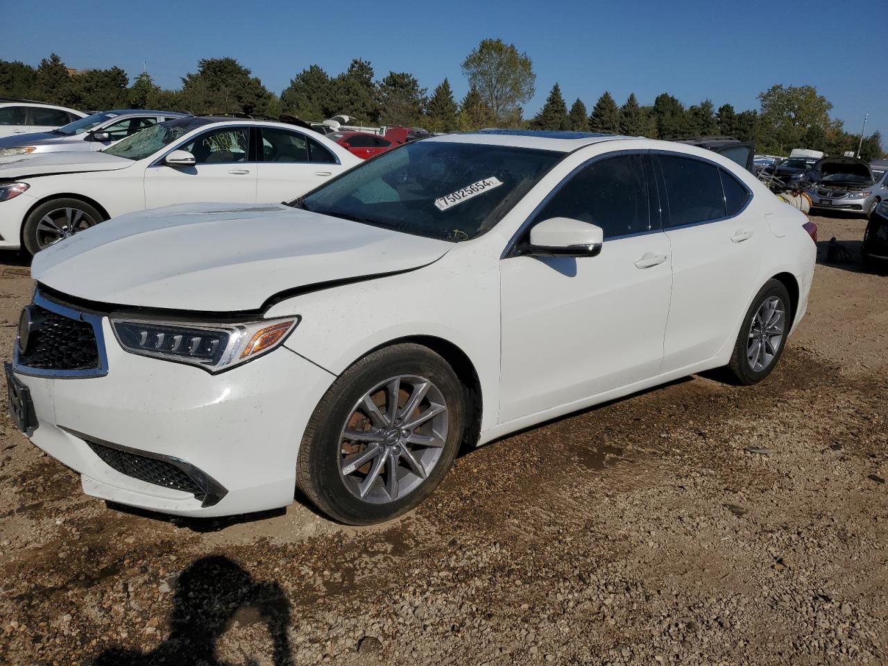 Lot #2938296641 2018 ACURA TLX