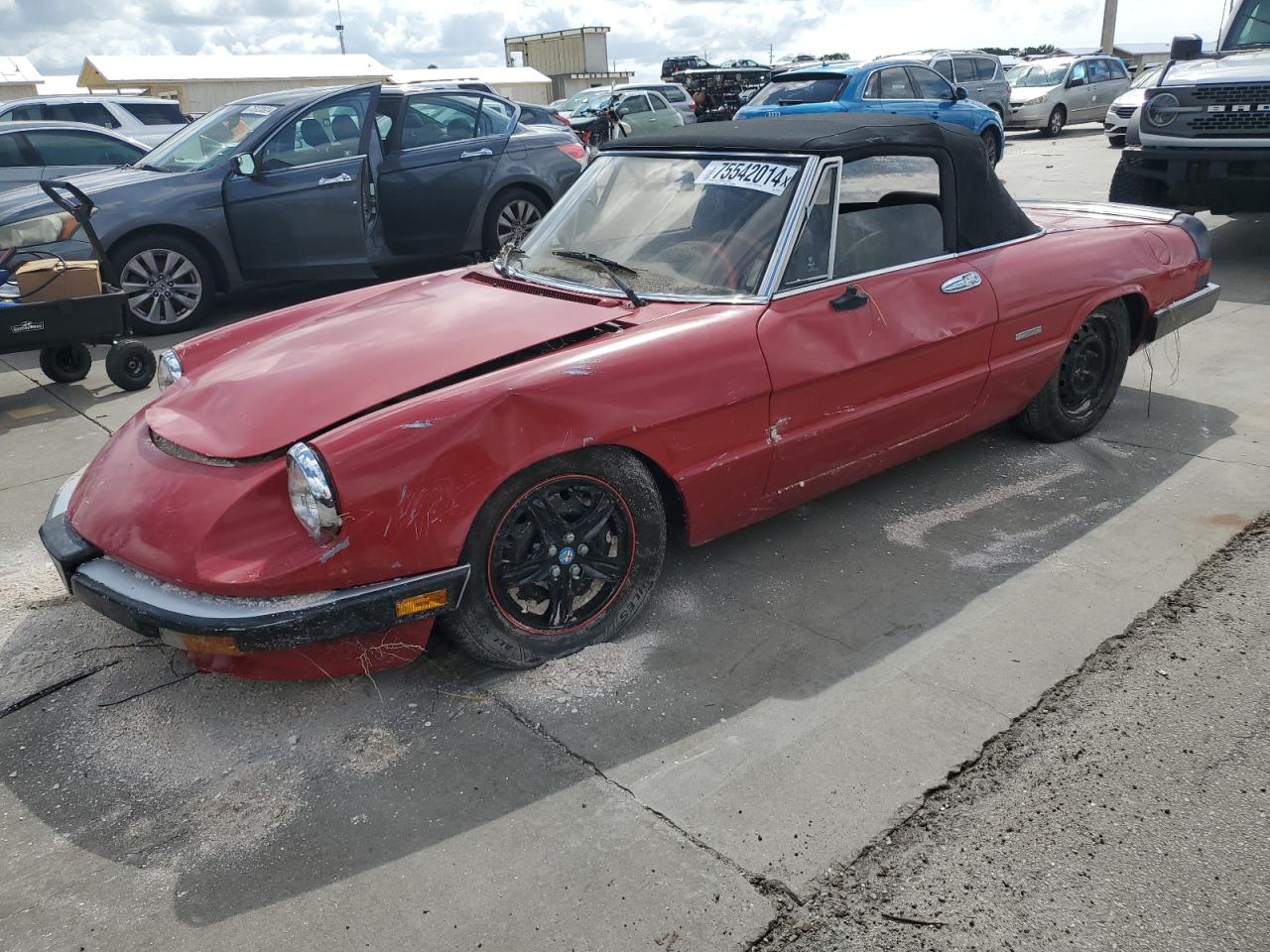 Alfa Romeo Spider 1988 Graduate