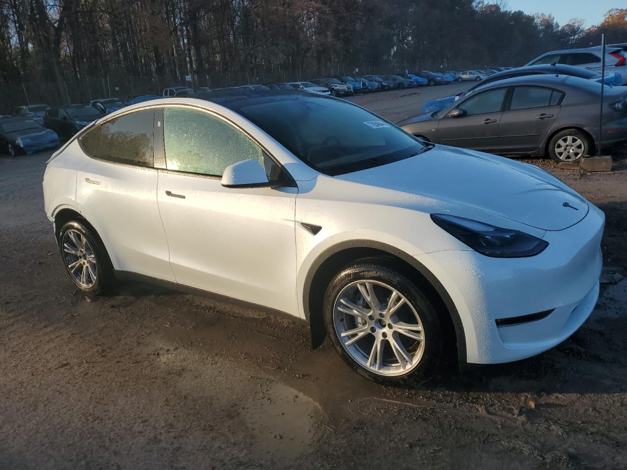 Lot #2986998782 2024 TESLA MODEL Y