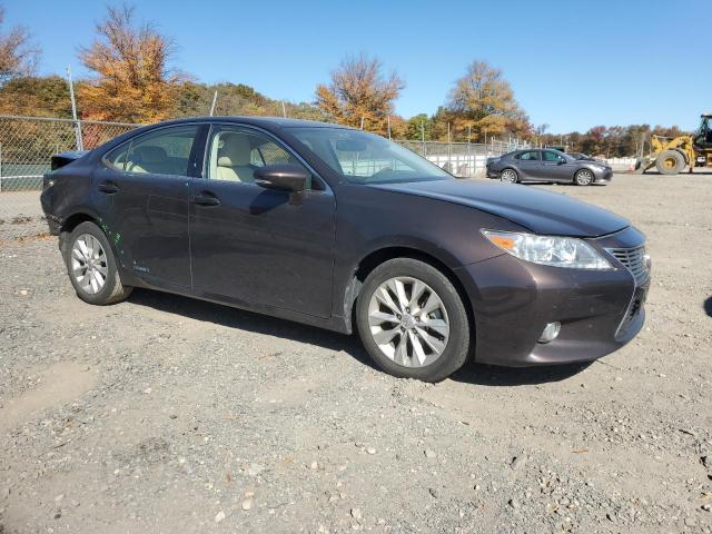 Vin: jthbw1gg6d2011884, lot: 77189724, lexus es300 300h 20134