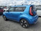 KIA SOUL + photo