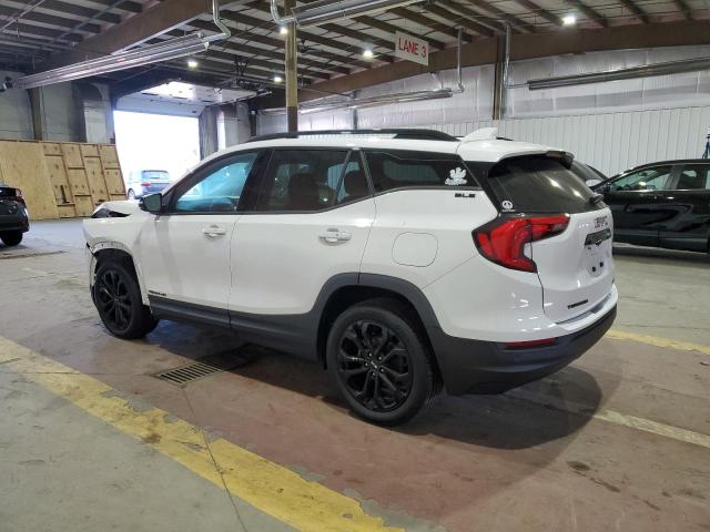 2020 GMC TERRAIN SL - 3GKALTEV3LL200044
