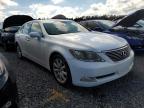 LEXUS LS 460 photo