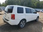 HONDA PILOT EXL photo