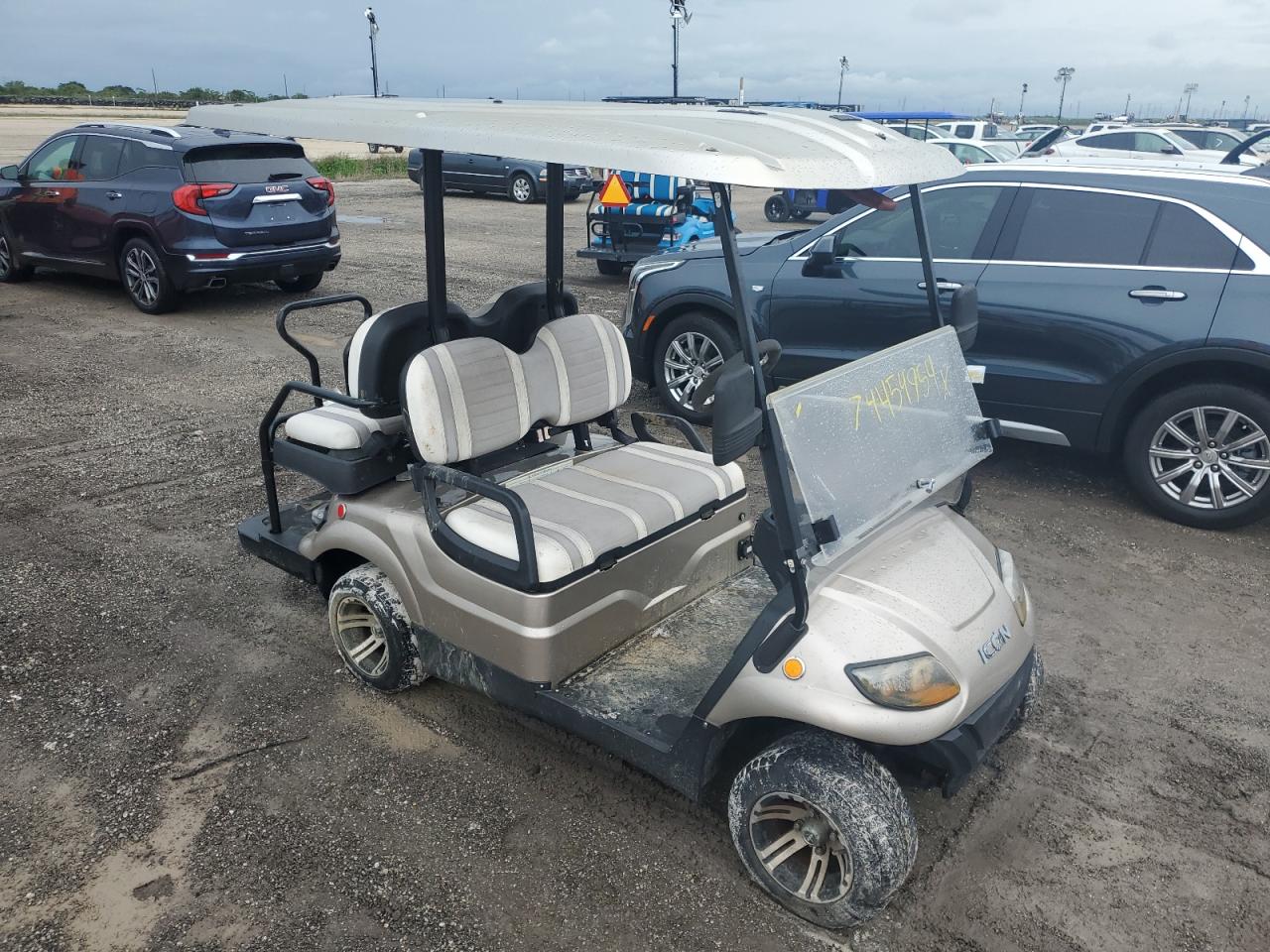 Othr GOLF CART 2020 