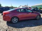 Lot #2938386741 2013 KIA OPTIMA EX