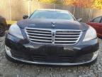 HYUNDAI EQUUS SIGN photo