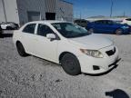 Lot #2991072219 2009 TOYOTA COROLLA BA