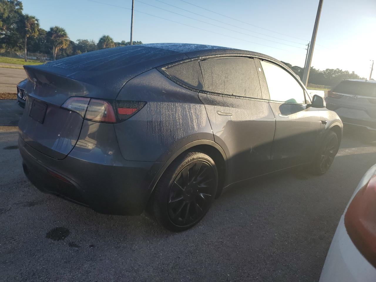 Lot #2986712353 2023 TESLA MODEL Y